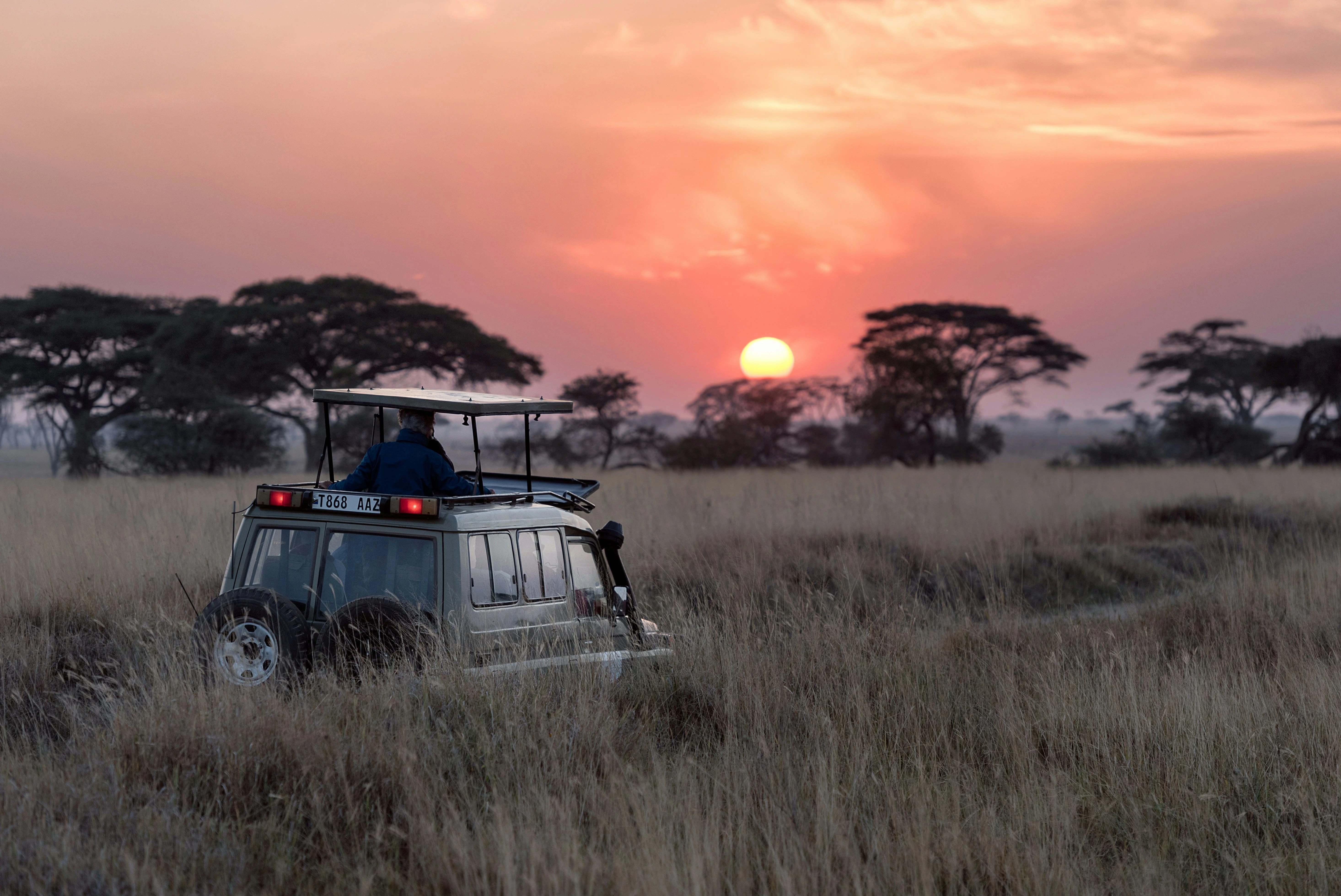 Serengeti Safari